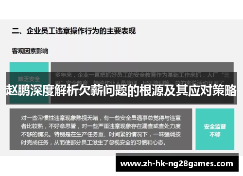 赵鹏深度解析欠薪问题的根源及其应对策略
