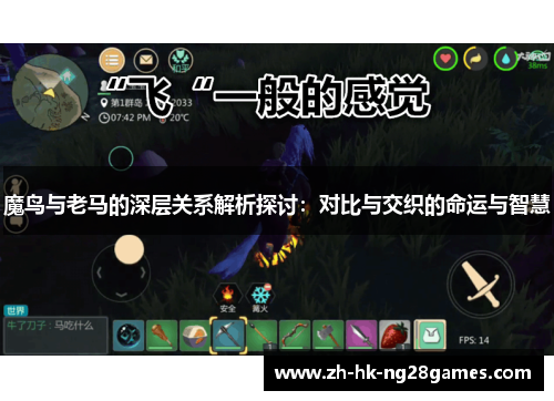 魔鸟与老马的深层关系解析探讨：对比与交织的命运与智慧