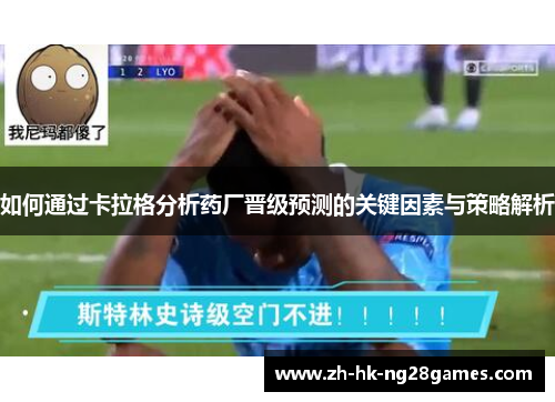 如何通过卡拉格分析药厂晋级预测的关键因素与策略解析